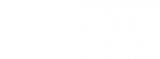 Logo_SchillingHydraulik_RZ_weiß_ohneRand